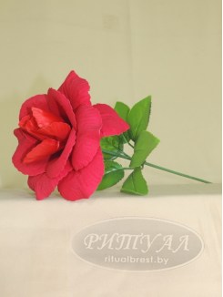 Роза бархат